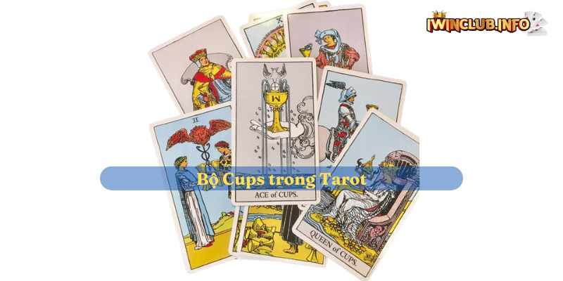 Bộ Cups trong Tarot